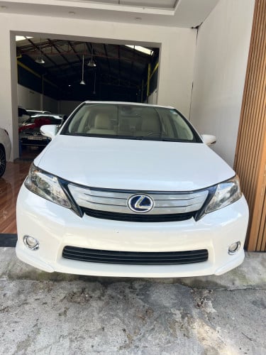 Lexus HS 250h full year 2010​ក្នុង​លឿង​