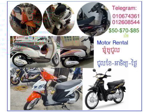 Motor Rental /ម៉ូតូជួល