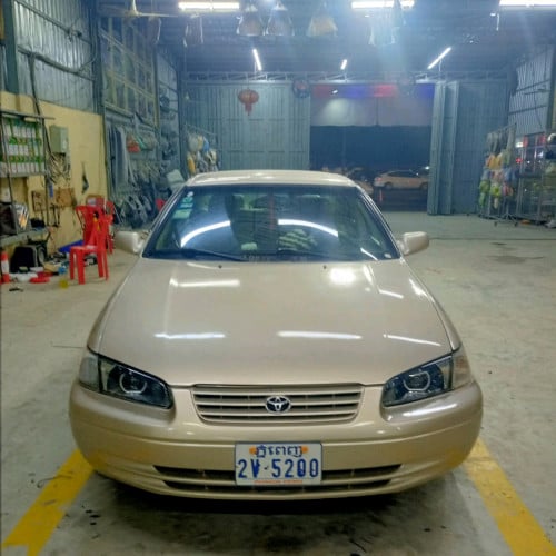 ចងលក់ឆ្លាមលេីគោក