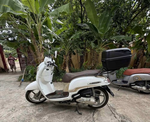 ធុងដាក់អីវាន់