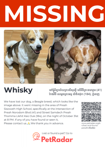 ដំណឹងបាត់ឆ្កែ នៅម្ដុំវិទ្យាល័យព្រះសីសុវត្ថិ ថ្ងៃ31 ខែ10