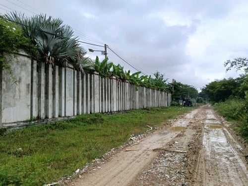 ដីជួល 5000ម2 ឃ្មួញ សែនសុខ