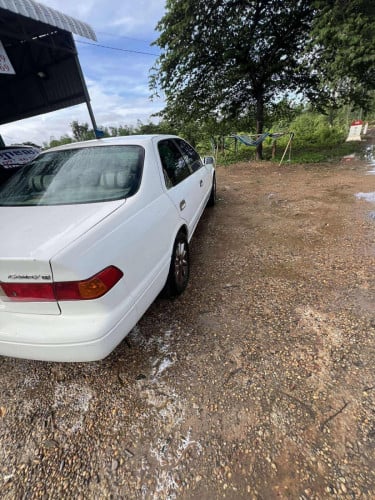 ឆ្លាមឆ្នាំ 97 លក់