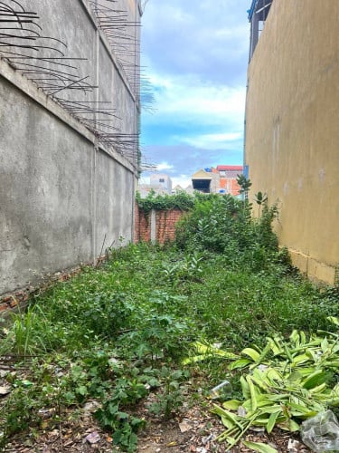 4.2X20m 29000$ជិតផ្សារទួលពង្រ