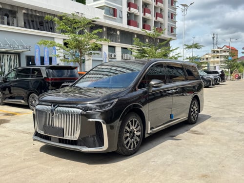 New 2025 EV Voyah Dreamer 650km