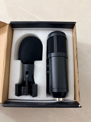 Microphone