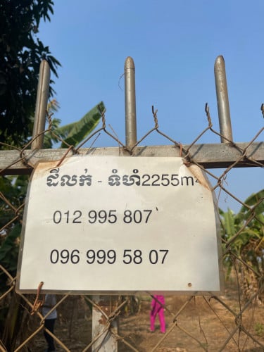 ដី ចម្ការ ដូង ជិតទទួលផង