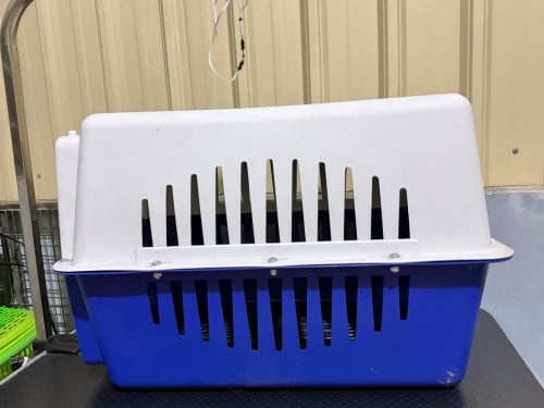 ទ្រុងធ្វើដំណើរសាយធំ ថ្មី