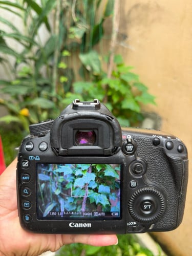 លក់Camera 5D Mark iii លក់290$ ម៉ាស៊ីនស្អាត ដំណើរការទាំងអច