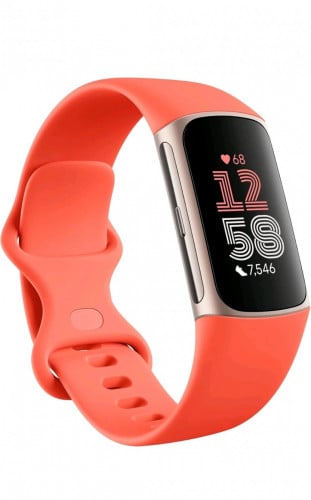 នាឡិកា/កងដៃ វ័យឆ្លាត ម៉ាកល្បីនៅអាមេរិក smart wrist band / smart watch fitbit charge 6