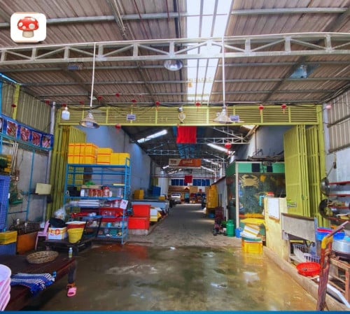 House For Sale 10m x 14m (5-Bed|5-Bath), Sensok