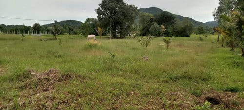 បាទដីលក់តម្លៃក្រោមទីផ្សារ.ម្ចាស់ផ្ទាល់បាទ.....