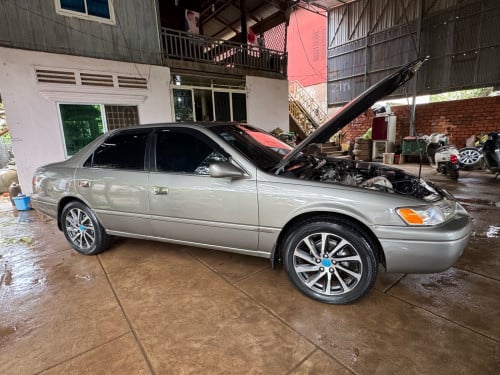 ឆ្លាមនៅសាណុំសុីន ស្តុបតូច