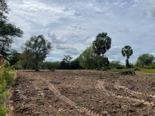 ដីលក់ជាប់ផ្លូវជាតិលេខ ៥ បណ្តោយ 90m ទទឹង 30m អាចចរចាបាន