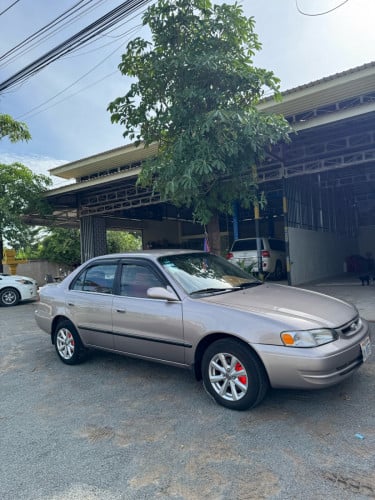 លក់Corolla 2000 le💥 វៃដូរ រំលោះបាន💥