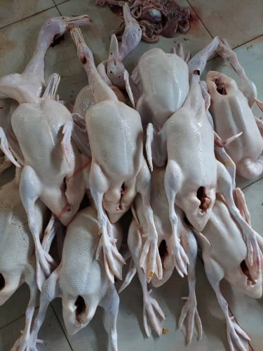 មានលក់ទាសាច់ទាបោចហើយ