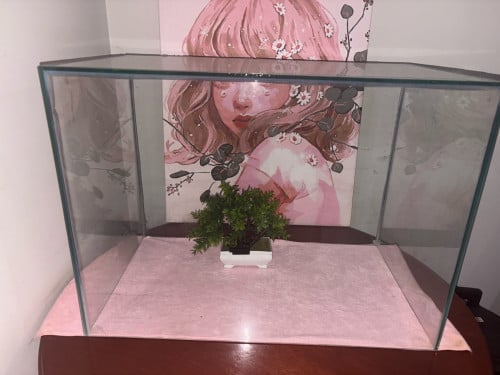 ទូរត្រី ៥លី