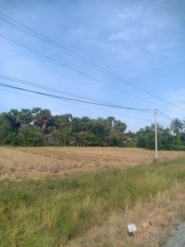 0968742122 (ដីលក់បន្ទាន់)