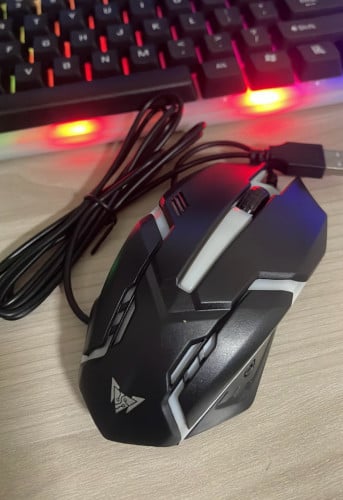 Mouse Computer