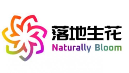 资料翻译, 私人教学 (中-英-柬) , 周末口头翻译