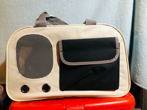 កាតាបដាក់ឆ្មាឬឆ្កែ