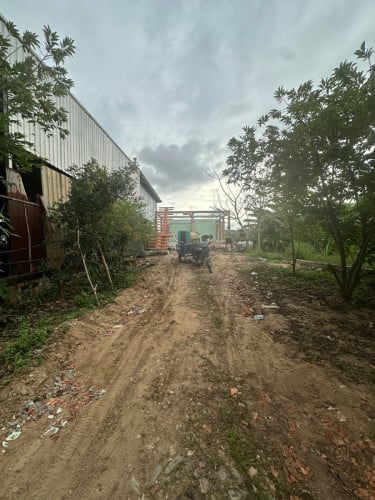 ដីជួល ធ្វើអាជីវកម្មបាន