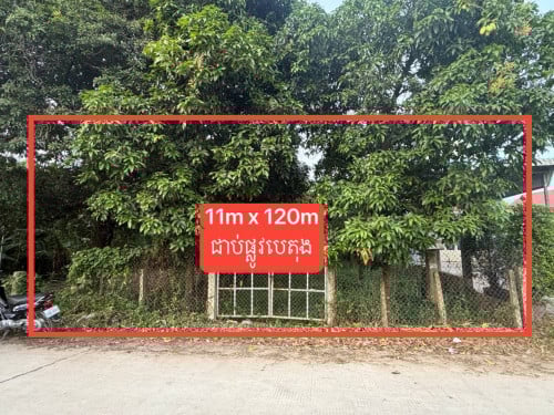 ដីលក់អរិយក្សត្រ 11m x 120m