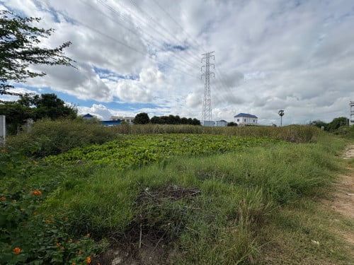 នៅកែ្បងបូរីឈូកវ៉ា 2 1 កោរ៉េ 290 ចចា