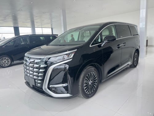 全新2025 DENZA D9 DMI 1050