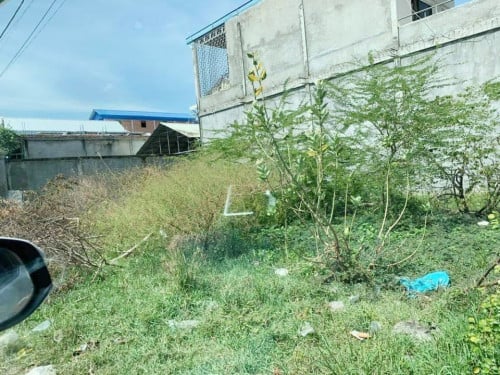 ដីកែងលក់បន្ទាន់ក្រោយផ្សារអូឌឹម 50ម