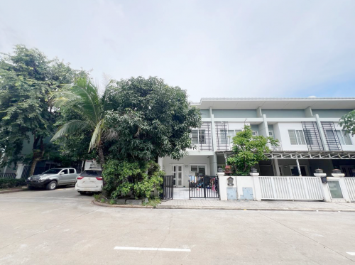 វីឡាកូនកាត់ LD1 សម្រាប់ជួល | Link Villa LD1 (ផ្ទះកែង)