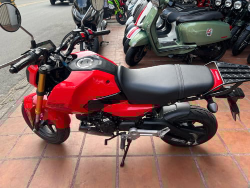 HONDA MSX សេរី2024