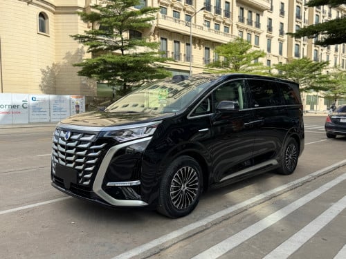 New 2025 DENZA D9 DMI 4WD