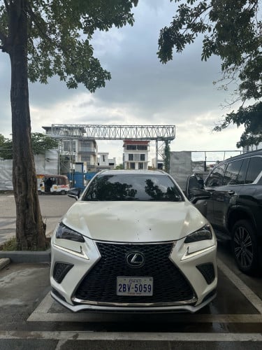 Nx200t luxury executive package