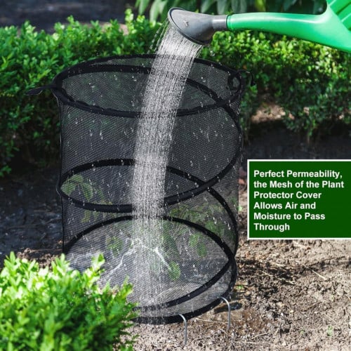 Plant Protection Cage with Stakes for Outdoor Plants