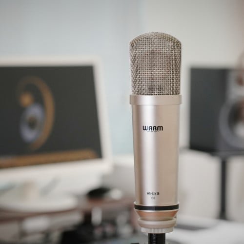 Warm Audio WA-87jr SE Studio Vocal Microphone - Nickel