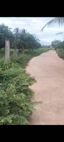 ដីលក់នៅស្រុកកំពង់ត្រាលខេត្តកំពត