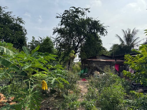 ម្ចាស់ផ្ទាល់