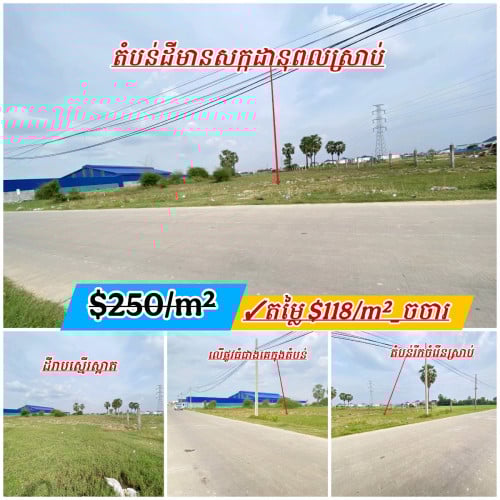 ដីកែងលើផ្លូវ20ម៉ែត្រជាប់ឃ្លាំងរោងចក្រកុះករ_លក់បន្ទាន់