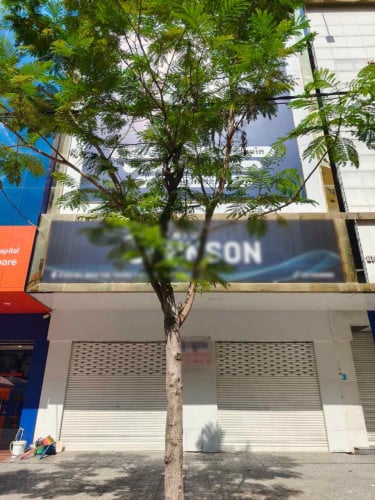 ហាងសំរាប់ជួលផ្លូវម៉ៅសេទុង ៧មករា/  Shop for rent St.Maotse tong, 7Makara