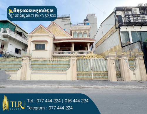 វីឡាទោលសម្រាប់ជួល | Single Villa for Rent