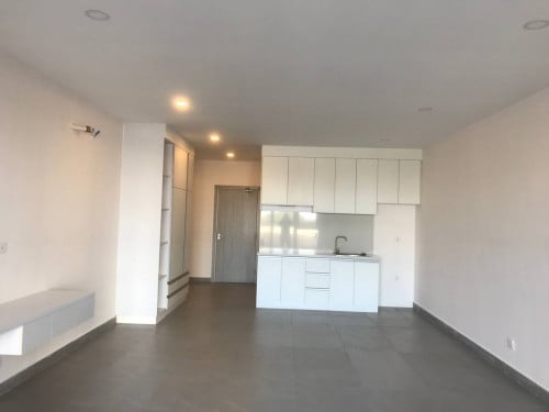 Mini Condo ទំហំធំបងៗអាចដាក់អីវ៉ាន់បានច្រើន