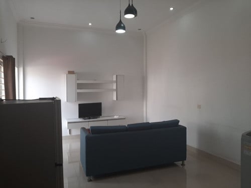Nice fully furnished apartment for rent