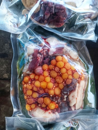 កន្ធាយសាច់