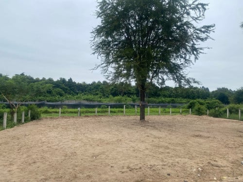 ដីលក់រឺជួលលើផ្លូវក្រវាត់ក្រុង