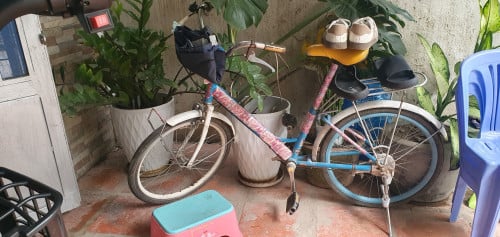 កង់មួយទឹកជប៉ុន