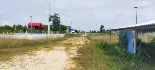 ដី ក្រុមង៉ុយ