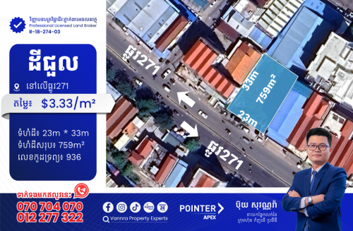 ដីជួលនៅលើផ្លូវ271