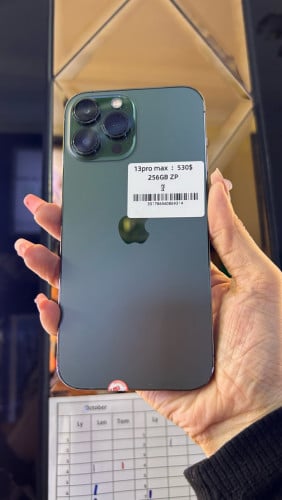13 Pro Max ZP