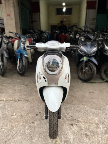 Honda Scoopy 2025 Smartkey NCX